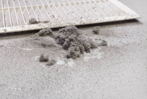 Best Ventilation Cleaning Services  in Pirtleville, AZ