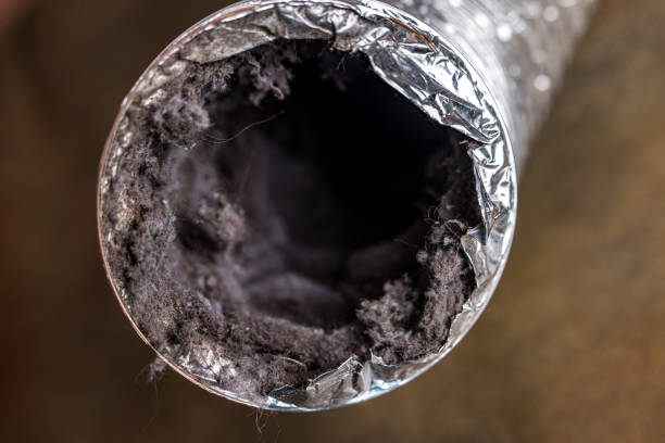 Best Air Duct Cleaning Company Near Me  in Pirtleville, AZ